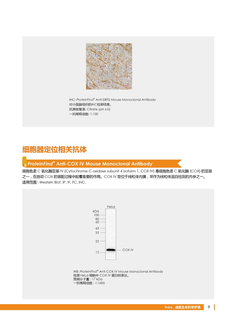 細胞生物學相關(guān)抗體新品上市 7.5折鉅惠