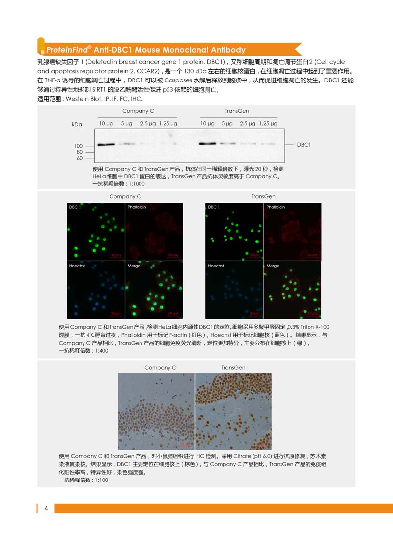 細胞生物學相關(guān)抗體新品上市 7.5折鉅惠