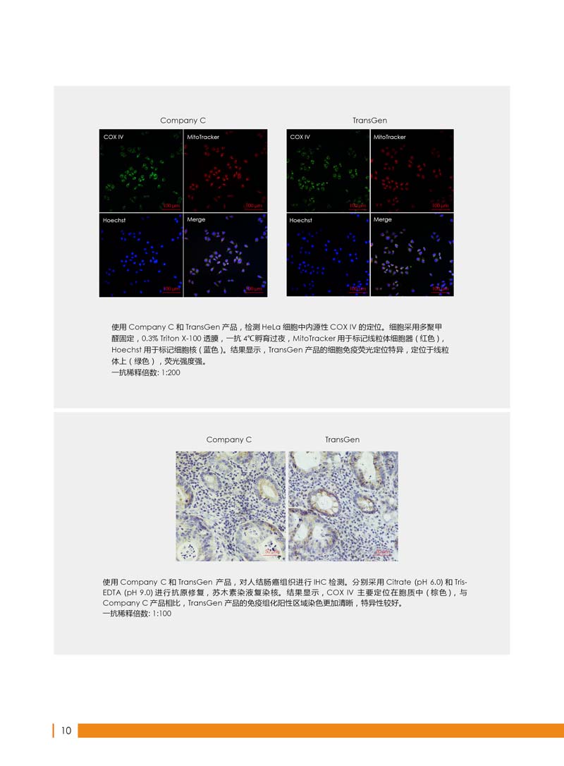 細胞生物學相關(guān)抗體新品上市 7.5折鉅惠