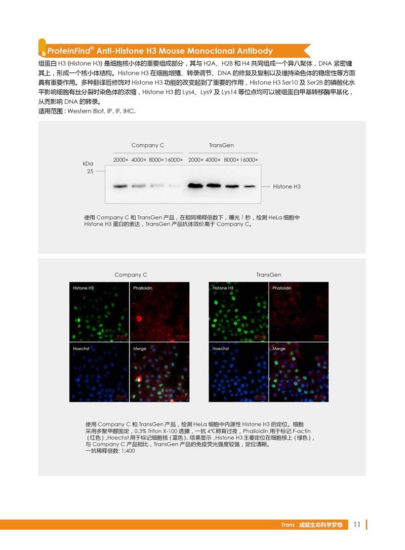 細胞生物學相關(guān)抗體新品上市 7.5折鉅惠