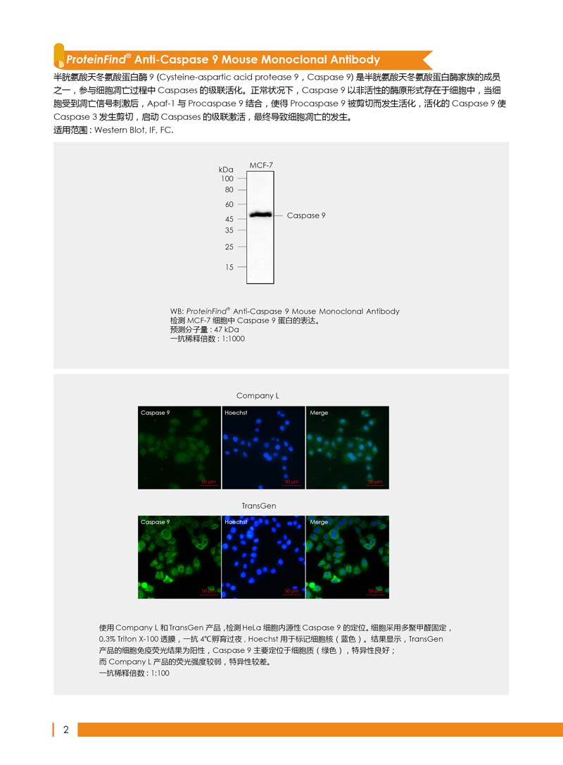細胞生物學相關(guān)抗體新品上市 7.5折鉅惠