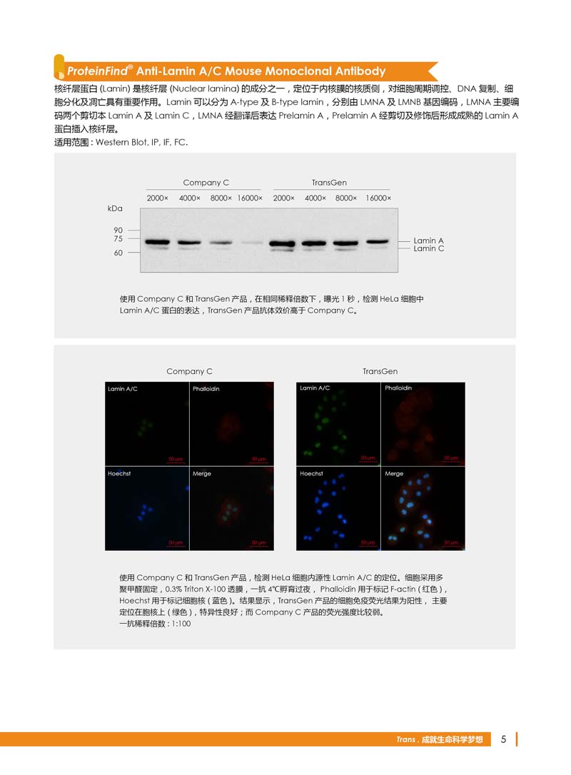 細胞生物學相關(guān)抗體新品上市 7.5折鉅惠