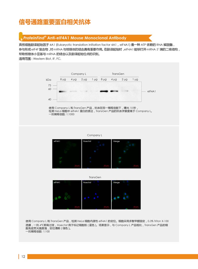 細胞生物學相關(guān)抗體新品上市 7.5折鉅惠