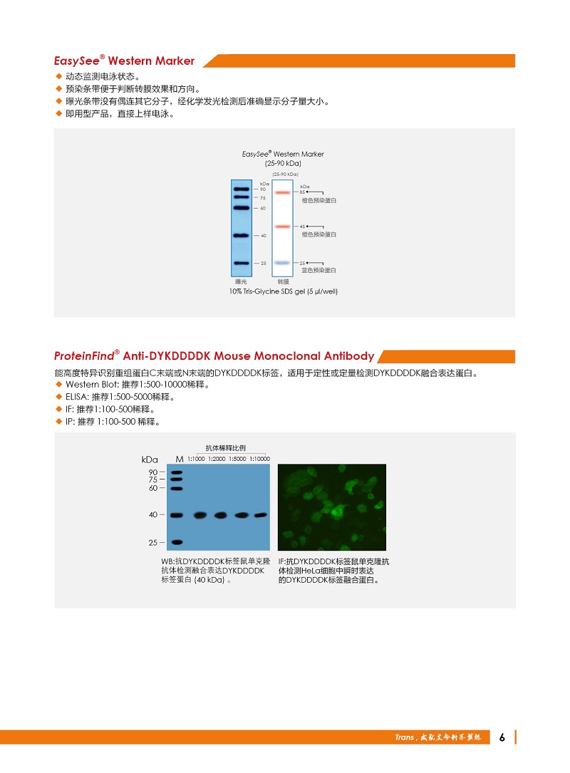 細(xì)胞生物學(xué)金牌產(chǎn)品7.5折大促，別錯過哦